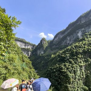 难忘初恋的记忆