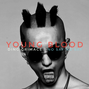 Britney Spears-YOUNG BLOOD（DING Grimace remix）