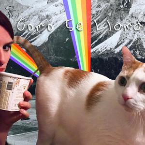 Steal The Night (feat. ashblack)