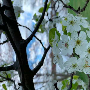 Step Out on the Water