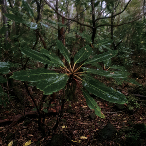 Intercourse (with A.TRAIN)