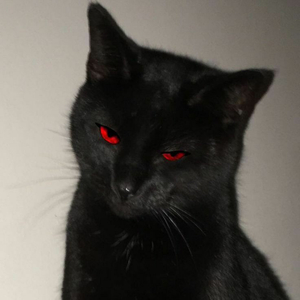 Uchiha