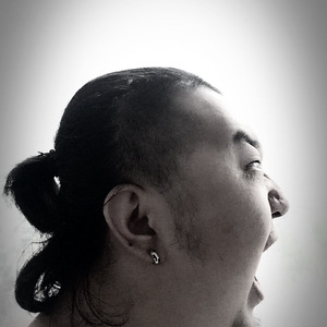 我爱单田芳（Demo）