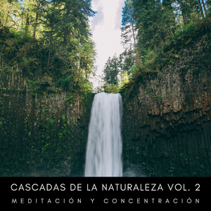 Ruido Blanco Del Agua
