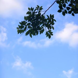 天气予行