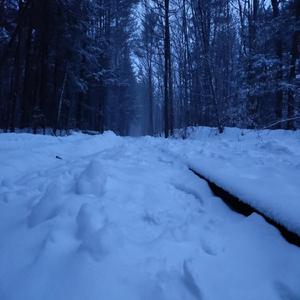 Come Back (Sobriety)