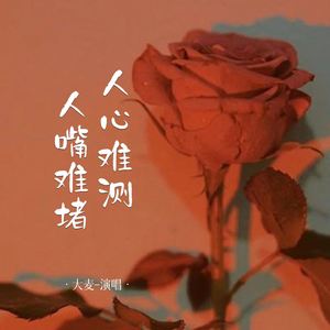 人心难测嘴难堵 (DJ默涵版)
