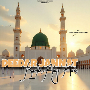 Deedar Jannat Karke Aaye Hain