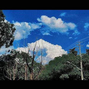 夏日与之二三事