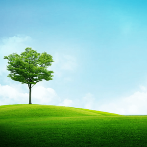 《秋日雨幕下的信笺飘逝》