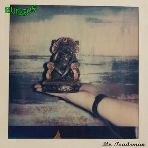 King Bungus and the Jungle Funkies