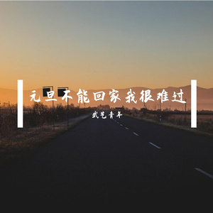 元旦不能回家我很难过