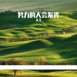 努力的人会发光