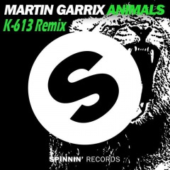 Martin Garrix-Animals (K-613 remix)