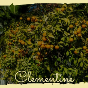 Randy & The Rainbows Denise