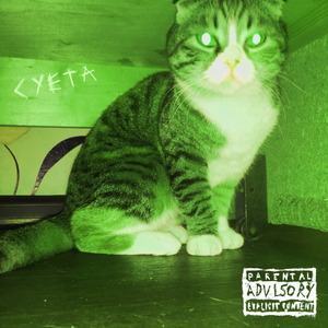 Книжный вор