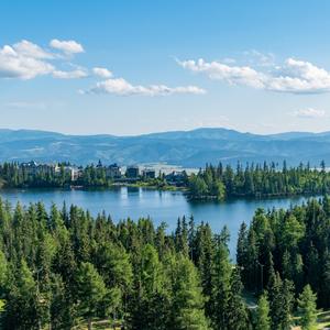 治疗心灵安抚焦虑（钢琴）