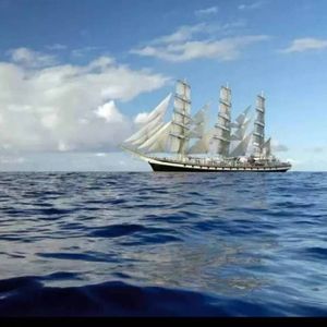 虚拟真我 (Virtual True Self)