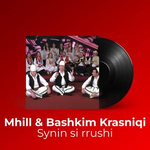Synin si rrushi
