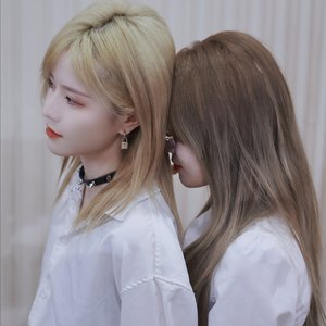 牛奶香槟 朱怡欣 柏欣妤（翻自 乐正绫）