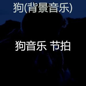 睡觉的小狗(情怀)