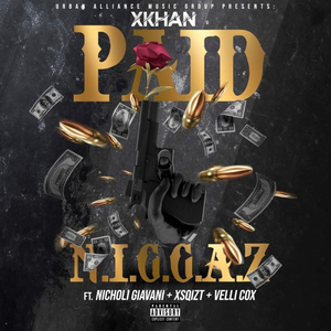 Paid N.I.G.G.A.Z