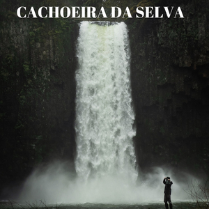 Silêncio Do Discernir