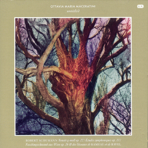 Symphonic Etudes, Op. 13: Variation 3: Vivace