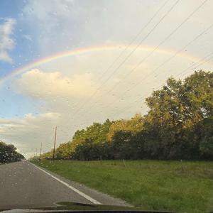 risk it all (feat. Psuedoname)