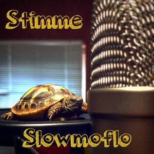 Stimme