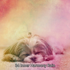 暴风雨之夜关闭