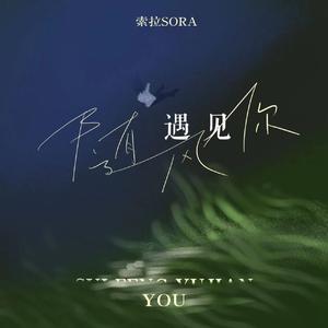 随风遇见你