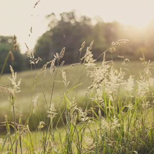 微光（翻自 华晨宇）