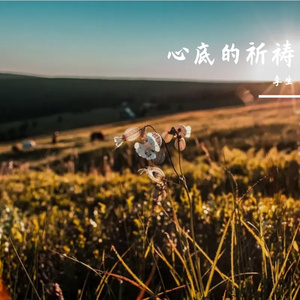 自由飞翔的心灵