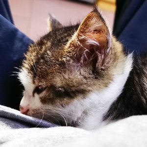 “Sad”Pluggnb type beat