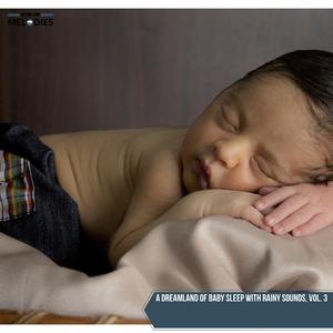 Pictureque Summer Night