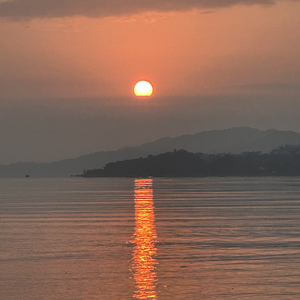 《杀不死的寂寞》