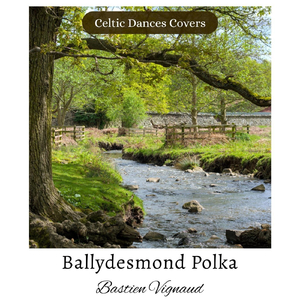 Ballydesmond Polka