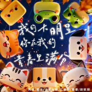 我的大明星 你在我的青春里满分