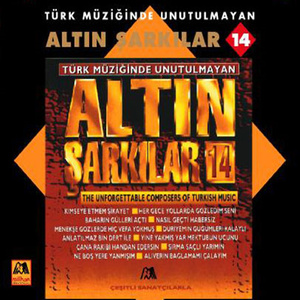 Her Gece Yollarda Gözledim Seni