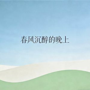 春风沉醉的晚上