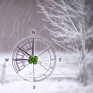 По дороге на север