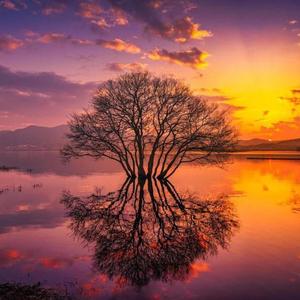 Yêu thương mong manh