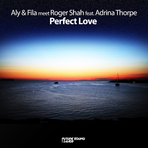 Perfect Love (Original Mix)