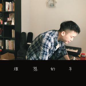 理想的车