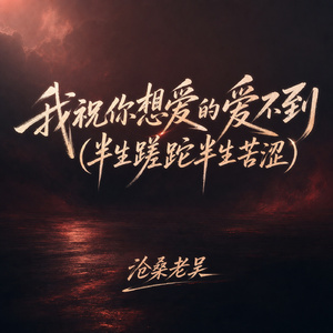 我祝你想爱的爱不到(半生蹉跎半生苦涩)