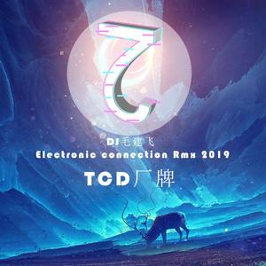 隔壁老樊-隔壁老樊-我曾（TCD厂牌 / DJ毛建飞 remix）