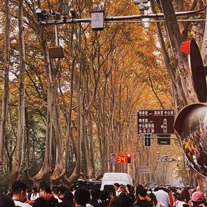 多想在平庸的生活拥抱你(cover:隔壁老樊)