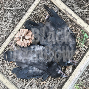 Before Love You Must Have Hunger