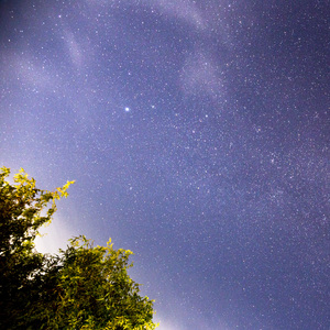 凌晨二点半 (助眠轻音乐)